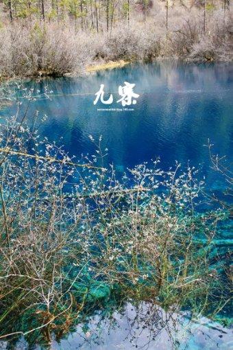 苏东坡:一蓑烟雨任平生